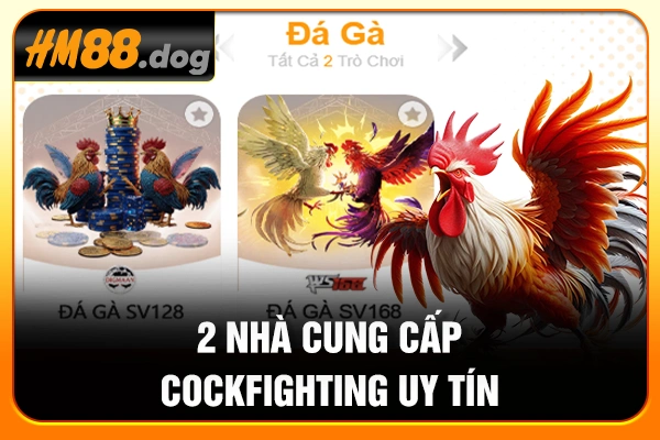 2 nhà cung cấp Cockfighting uy tín