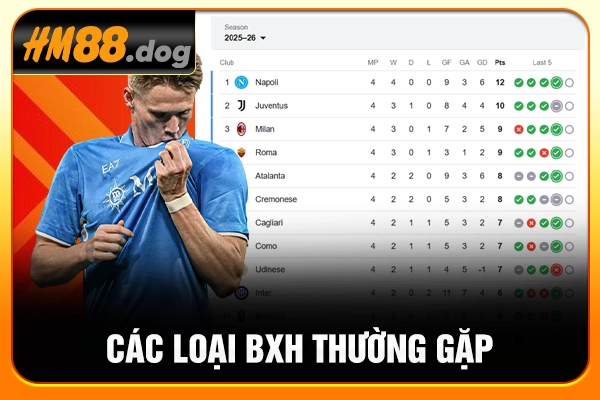 Các loại BXH thường gặp Các loại BXH thường gặp