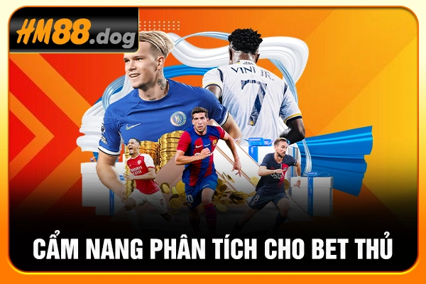 Cẩm nang phân tích cho bet thủ