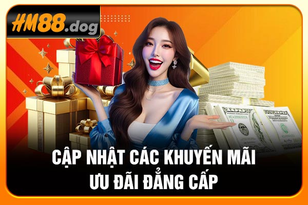 Cập nhật các khuyến mãi, ưu đãi đẳng cấp