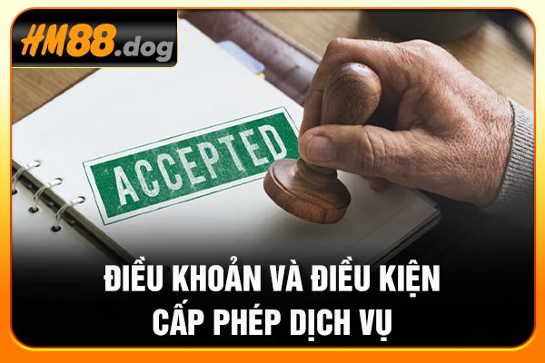 Điều khoản và điều kiện cấp phép dịch vụ