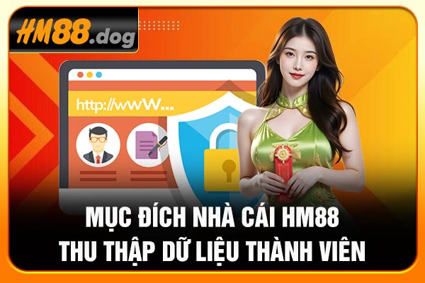 Mục đích nhà cái Hm88 thu thập dữ liệu thành viên Mục đích nhà cái Hm88 thu thập dữ liệu thành viên