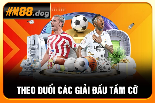 Theo đuổi các giải đấu tầm cỡ Theo đuổi các giải đấu tầm cỡ