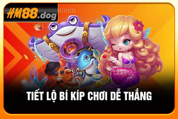 Tiết lộ bí kíp chơi dễ thắng Tiết lộ bí kíp chơi dễ thắng